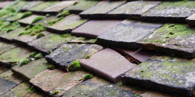 Crindau roof repair costs